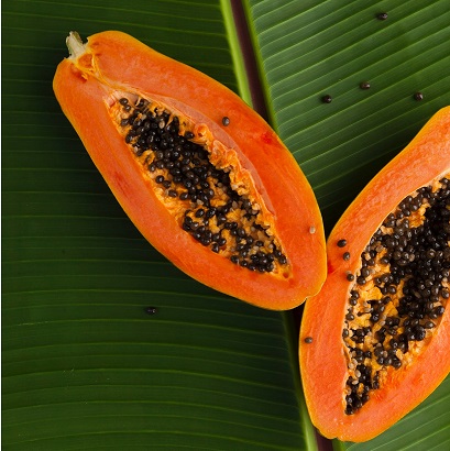 Red Lady Taiwan 786 Papaya for sale in Kachchh