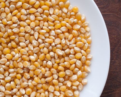 Buy Normal Maize from Ballari at Wholesale Price of Rs 23.5/Kg - Vimarsana News