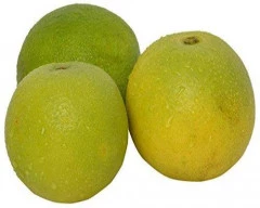 Normal Mosambi for sale in Anantapur