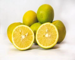 Other Mosambi for sale in Anantapur