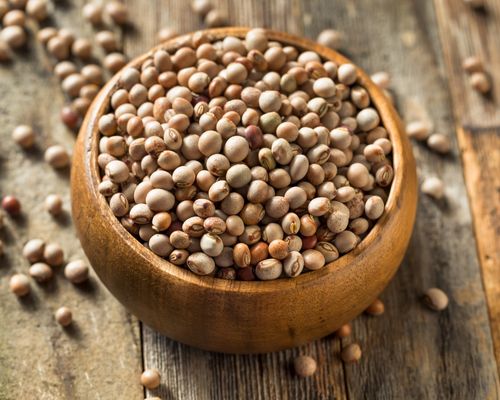 Buy Indian Tur from Bhandara at Wholesale Price of Rs 100/Kg - Vimarsana News