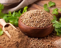 Normal Coriander for sale in Gadchiroli