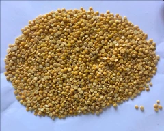 Normal Tur Dal for sale in Mahabubnagar