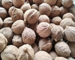 Dried Baheda for sale in Gadchiroli