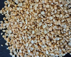 Indian Chana Dal for sale in Bhojpur