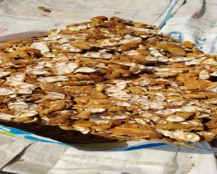 A Grade Quality Tamarind for sale in Solapur