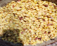 Flowers Mahua for sale in Tikamgarh