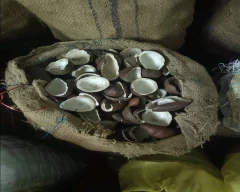 A Grade Quality Copra for sale in Vellore