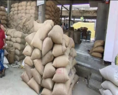 Normal Soya DOC for sale in Thane