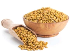 Normal Fenugreek for sale in Jodhpur