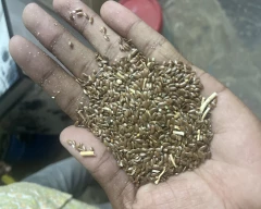 Normal Flax Seed for sale in Bhilwara