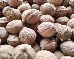 Dried Baheda for sale in Chhatarpur