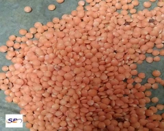Indian Masoor Dal for sale in North 24 Parganas