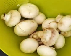 Oyster Mushroom for sale in Sikar