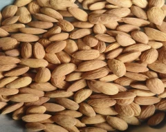 Other Almond for sale in Bhopal