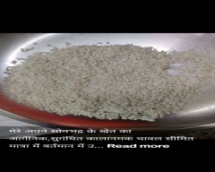 Organic Rice for sale in Sonbhadra