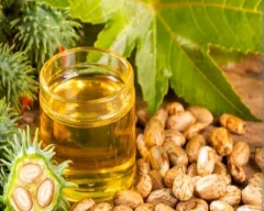 Other Castor Oil for sale in Madurai