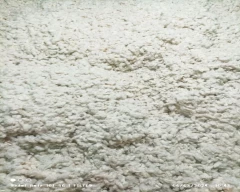 Normal Ajwain for sale in Ballari