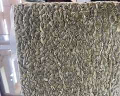 Normal Pumkin seed for sale in Chennai