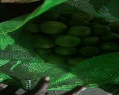 Normal Mosambi for sale in Jaipur