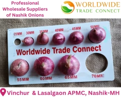 Garwa Onion for sale in Nashik