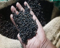 Black Pepper for sale in West Garo Hills