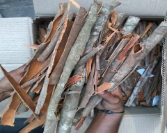 A Grade Quality Cinnamon for sale in Idukki