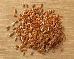 Normal Flax Seed for sale in Chennai