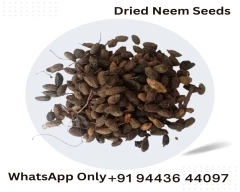 Dried Neem Seed for sale in Nilgiris