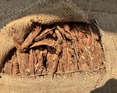 A Grade Quality Tamarind for sale in Kondagaon