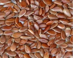 Other Flax Seed for sale in Latur