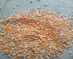 Normal Maida for sale in Khargone