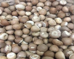 Normal Arecanut for sale in Palakkad