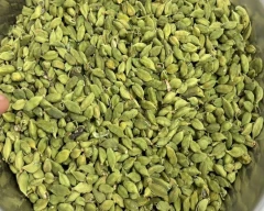 5 - 6MM Cardamom for sale in Ernakulam