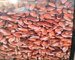 Normal Flax Seed for sale in Kota