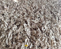 A Grade Quality Dried Ginger for sale in Ernakulam