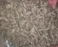 Normal Sweet Potato for sale in Fatehpur