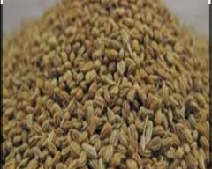 Normal Ajwain for sale in Bikaner