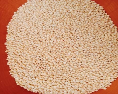 A Grade Quality White Pepper for sale in Dharwad