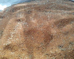 A Grade Quality Harad for sale in Mathura