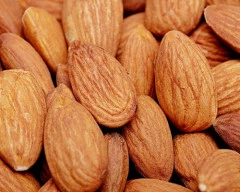 California Almond for sale in YSR District