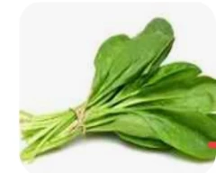 Normal Spinach for sale in Gurugram (Gurgaon)