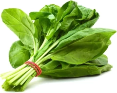 Normal Spinach for sale in Raigad