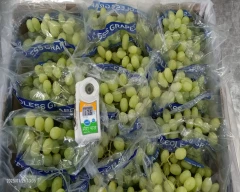 White seedless Grapes for sale in Nashik