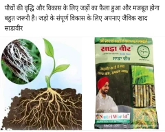 Normal Vetiver Roots for sale in Etah