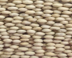 A Grade Quality White Pepper for sale in Ahmedabad