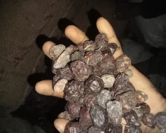 Dried Plum for sale in Sagar