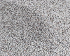 Normal Cowpea for sale in Prakasam
