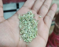 Other Fennel Seeds for sale in Agra