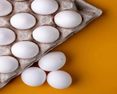 White Egg for sale in Ahmednagar